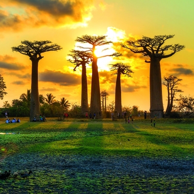 Calendar cu imagini Landscapes, 31.5 x 48 cm, 12 file, 2026
